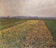 Gustave Caillebotte Yellow field oil painting on canvas